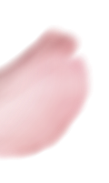 Delicate pink cherry blossom petal